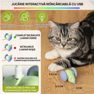 Screenshot 2026-03-19 003220